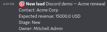 A new CRM lead arriving in a Discord channel